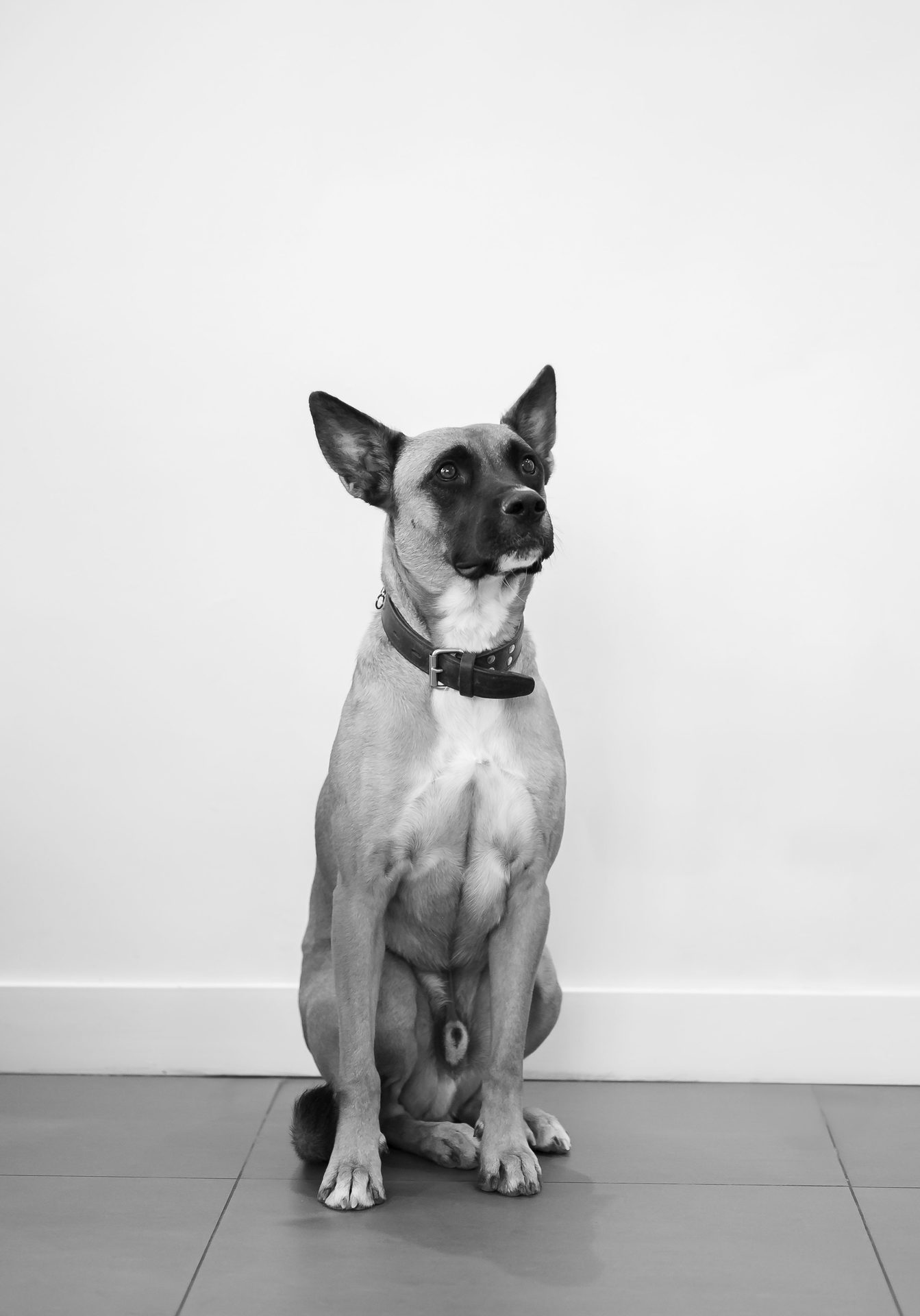 Maddox, SECURITY